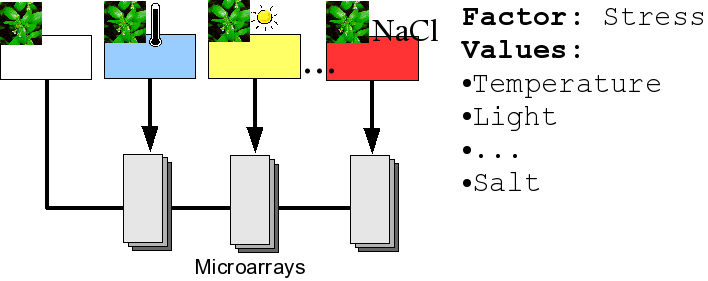 File:FactorValuesStress.png