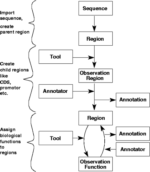 File:AnnotationPipeline.png